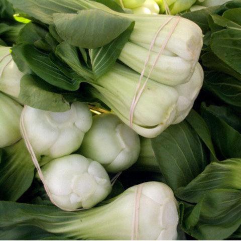 Pak Choi  Baby Shanghai Greens Seeds (Organic), Garden from Grow Organic