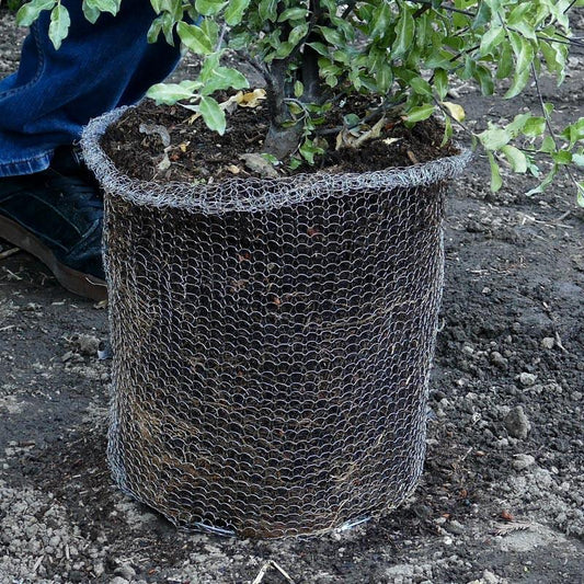 Root Guard Speed Basket 1 gal (4/pk), Garden from Grow Organic