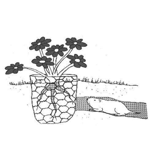Gopher Wire (3' x 100' roll), Garden from Grow Organic