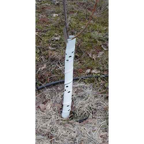Spiral Tree Guards - 36" (Pack of 5), Garden from Grow Organic