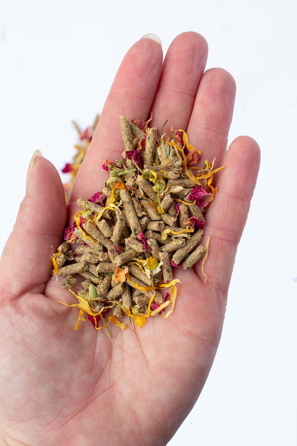 BunLuv Herbal Rabbit Feed from Dahlia Pets