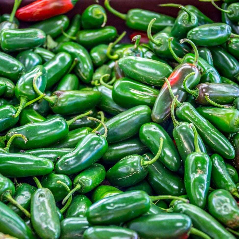 Nadapeno Pepper by MIgardener