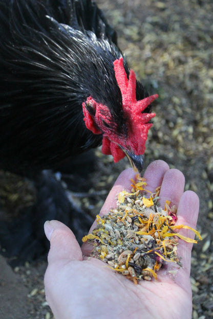 PowerHen (TM) High Protein Treat With Mealworms, Black Soldier Fly Larvae, & Herbs For Backyard Chickens, Chicken Treats from Dahlia Pets