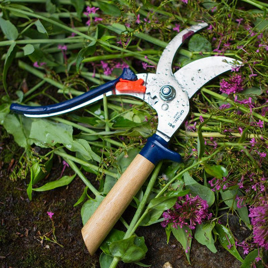 Opinel Hand Pruners Blue, Garden from Grow Organic