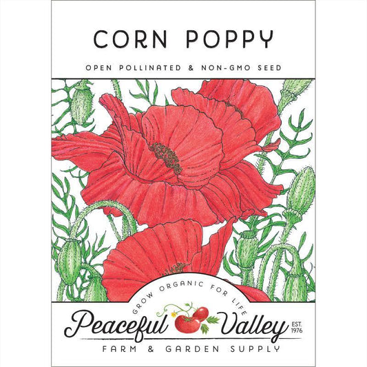 Corn Poppy