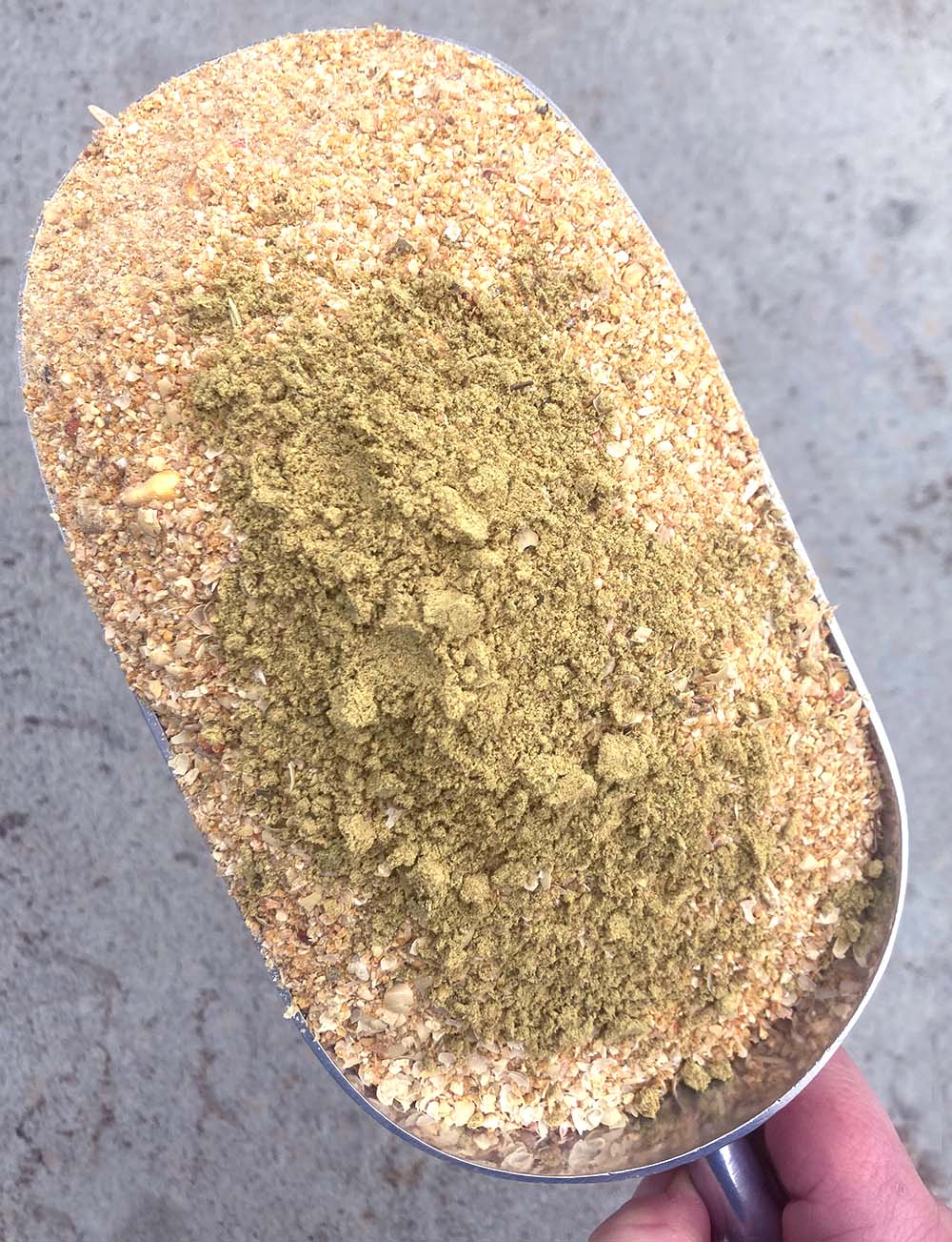 Pumpkin Seed Delight - Add To Feed For For Healthy Coops from Dahlia Pets