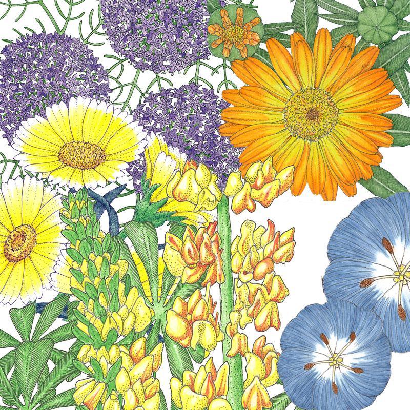 Peaceful Valley Flowering Pollinator Mix (lb), Garden from Grow Organic