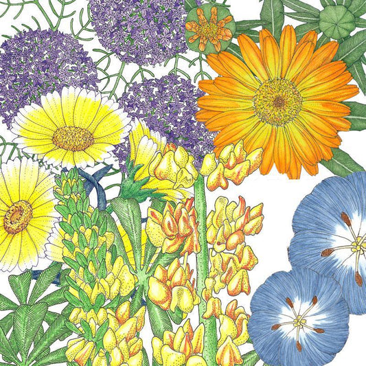 Peaceful Valley Flowering Pollinator Mix (lb), Garden from Grow Organic
