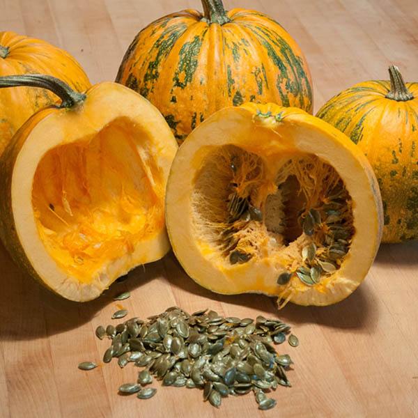 Styrian Pumpkin Seeds, Sprouted Organic, image 2 of 7