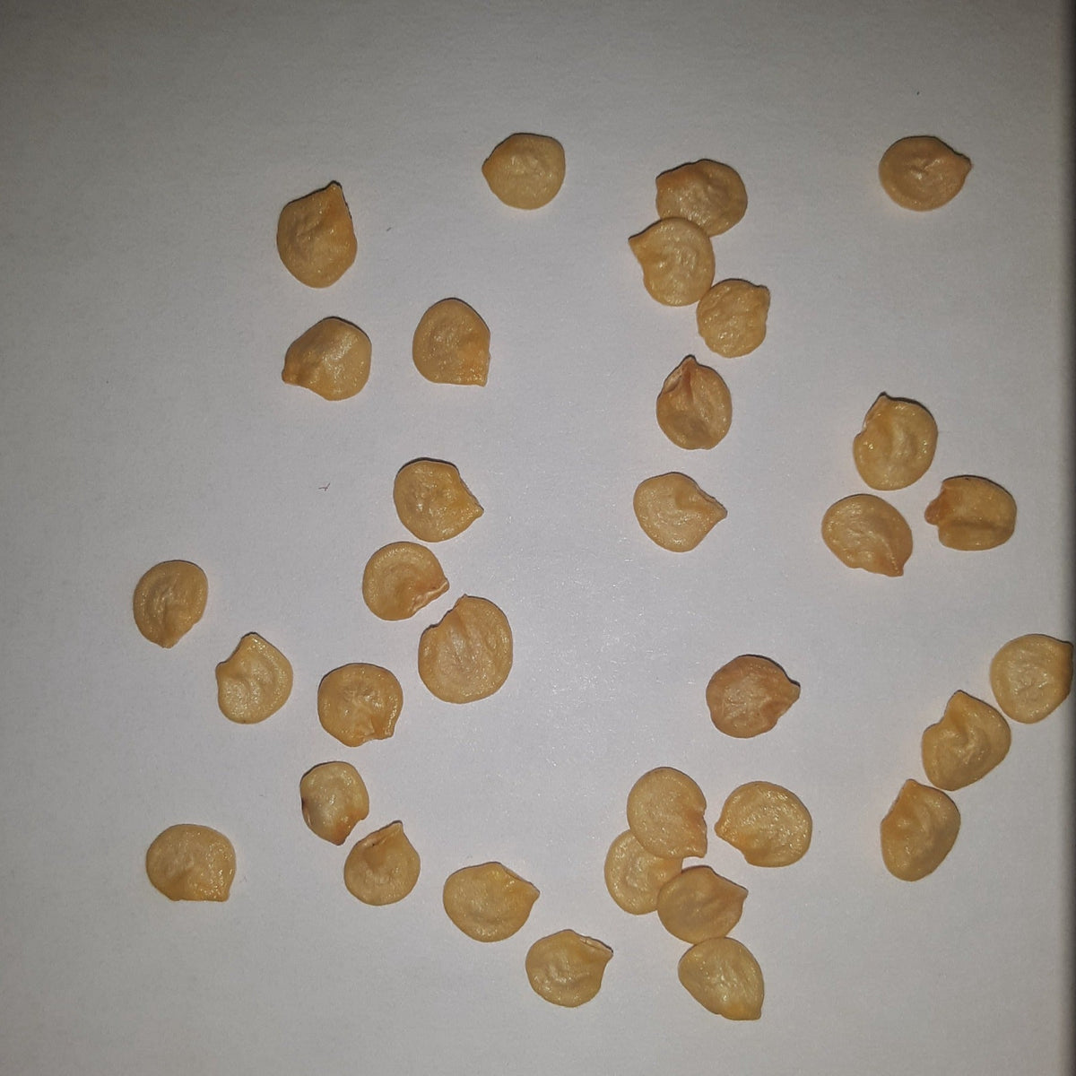 Right on Red Hybrid Sweet Paprika Pepper Seeds, image 2 of 5
