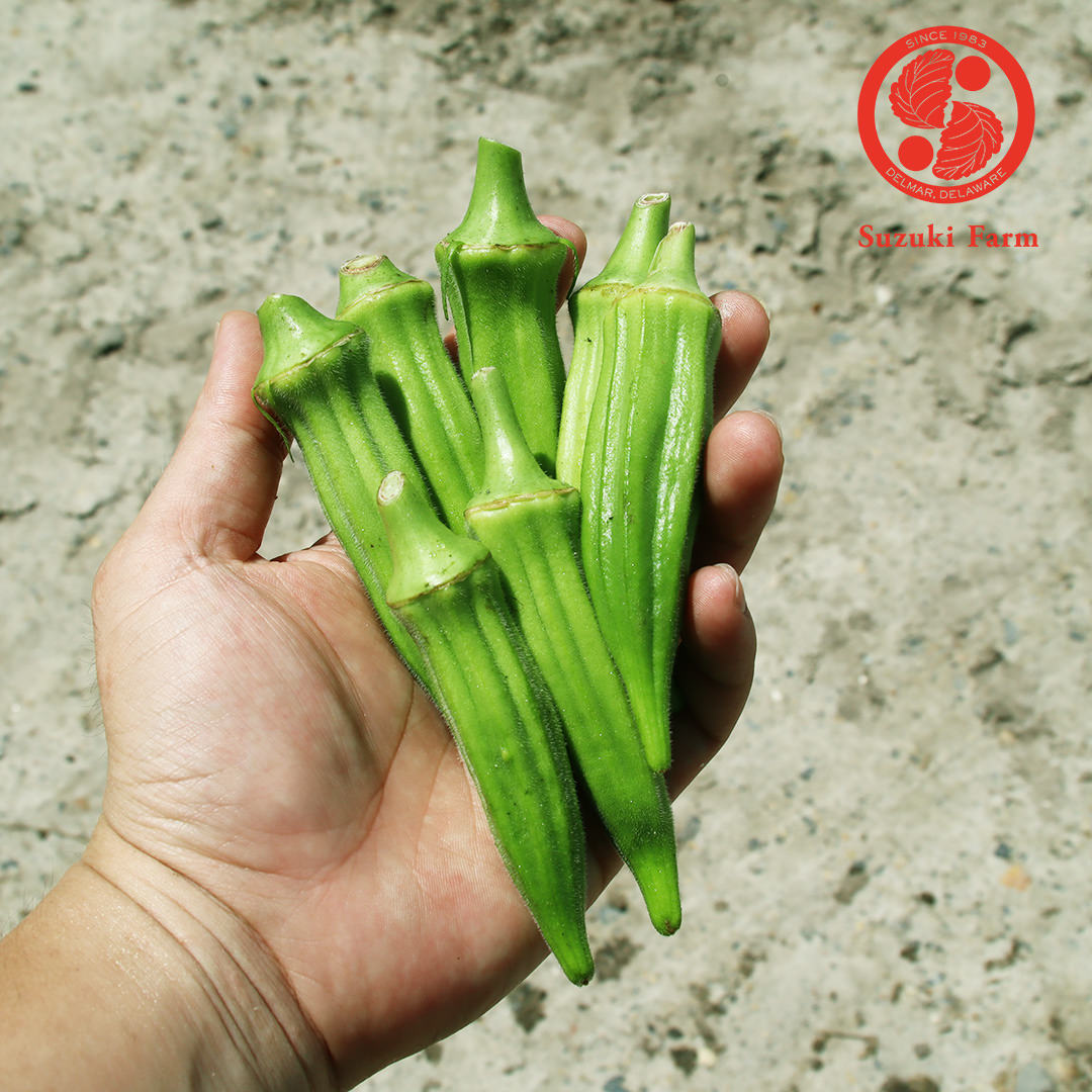 Okra | Suzuki Farm | 0.35lb, image 2 of 2