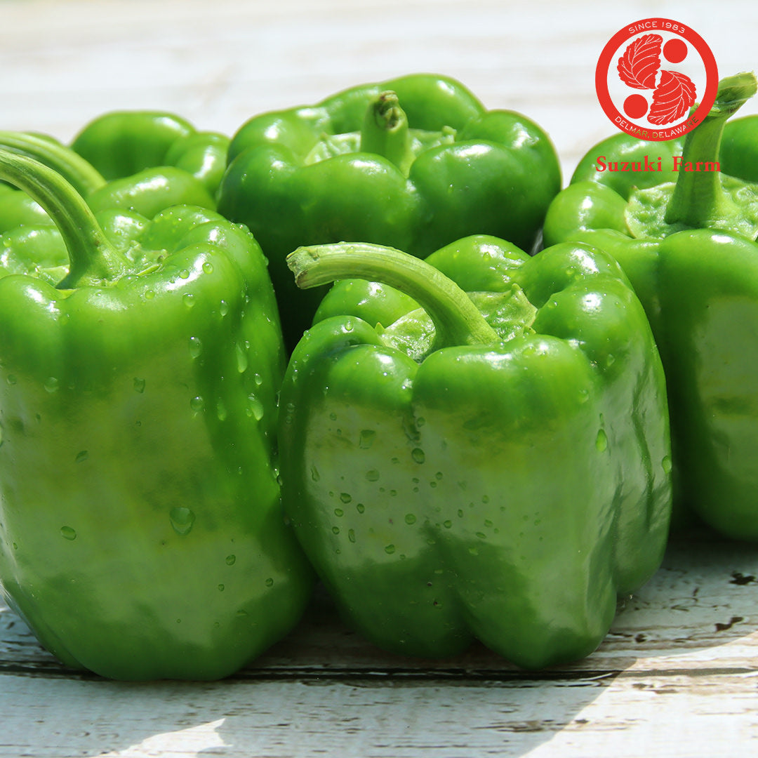 PEAMAN Bellpepper | Suzuki Farm | 5 pc