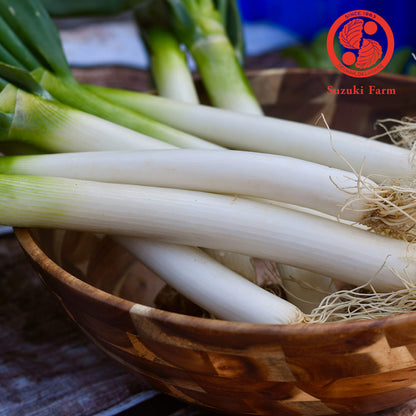 TOKYO NEGI (Long green onion) | Suzuki Farm | 1 bunch, image 3 of 4