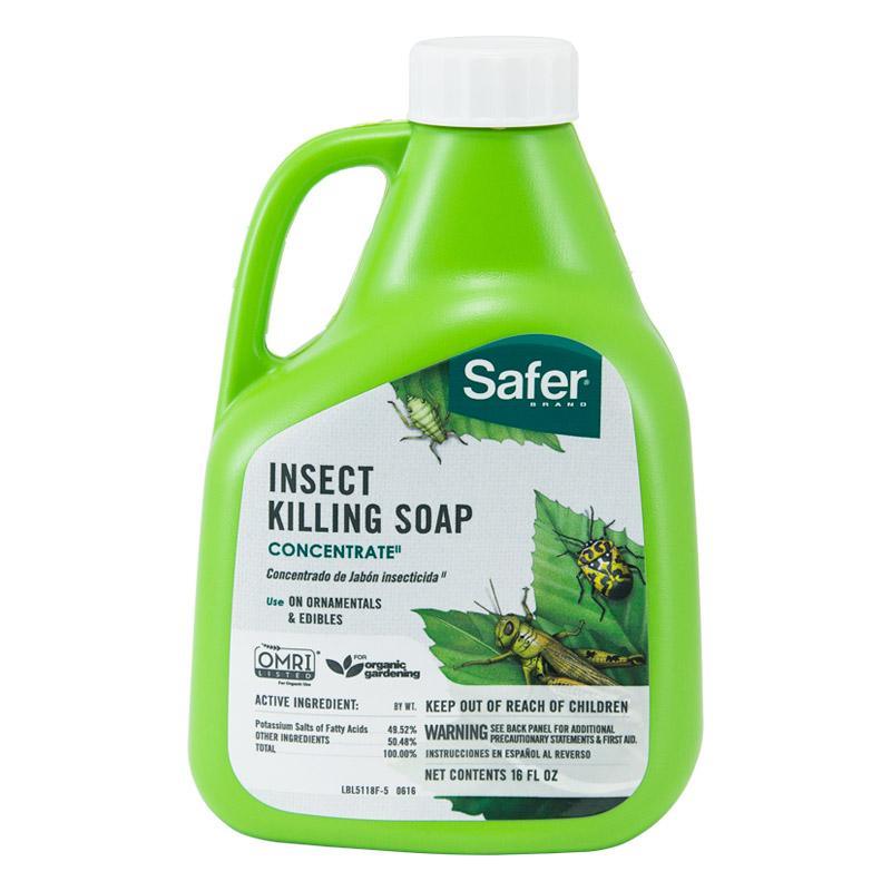 Safer Insecticidal Soap Concentrate (Pint) by Grow Organic