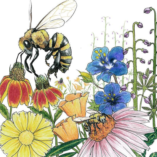 Save the Bees Wildflower Mix (1/4 lb), Garden from Grow Organic