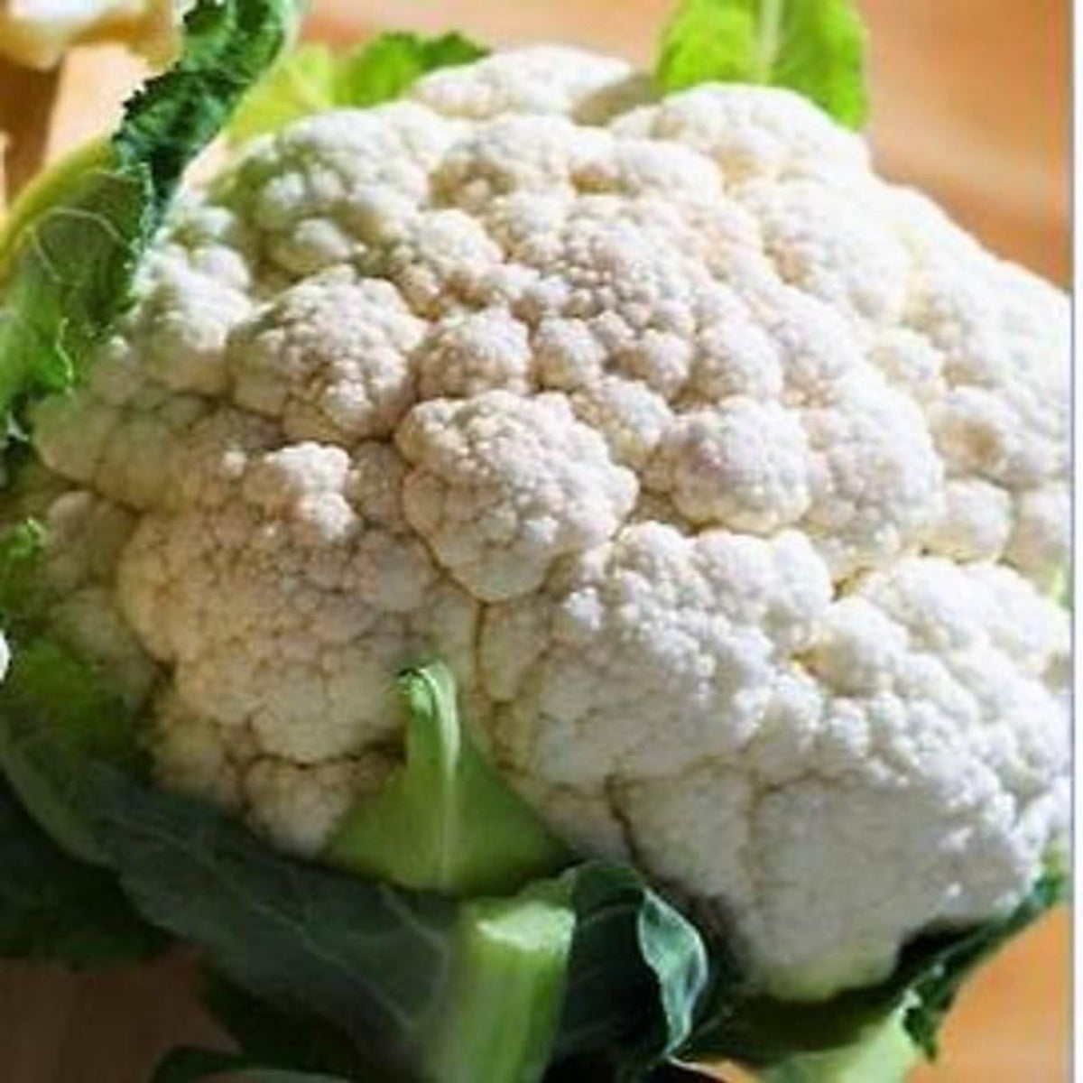 Snowball Self Blanching Cauliflower Seeds by Papaws Garden Supply