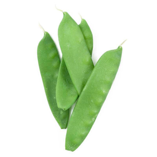 Oregon Sugar Pod Pea Seeds (Organic), Garden from Grow Organic