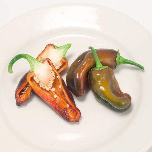 Chocolate Sweet Pepper Seeds (Organic), Garden from Grow Organic