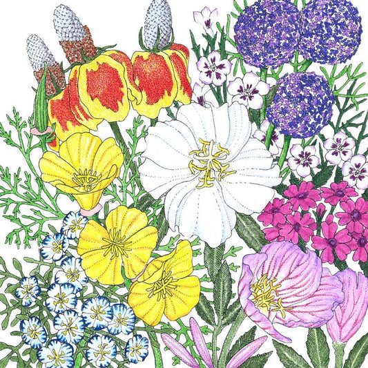 Southwest Wildflower Mix (1/4 lb), Garden from Grow Organic