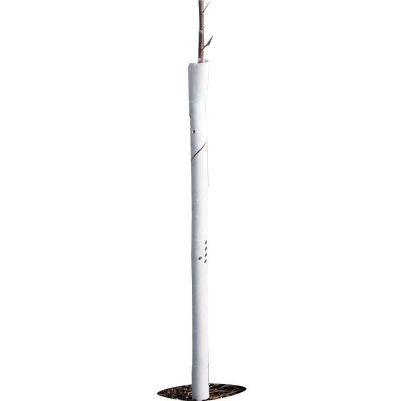 Spiral Tree Guards - 36" (Pack of 5), Garden from Grow Organic