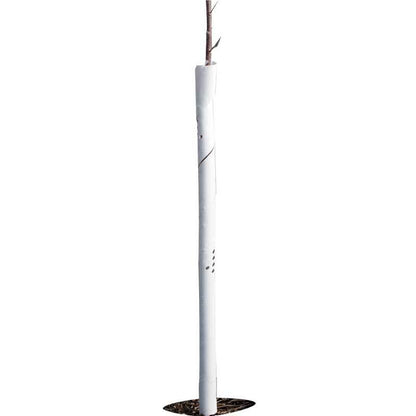 Spiral Tree Guards - 36" (Pack of 5), Garden from Grow Organic