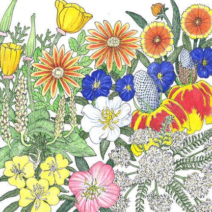 California Perennial Wildflower Mix (pack)