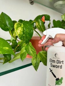 Sword Natural Pesticide