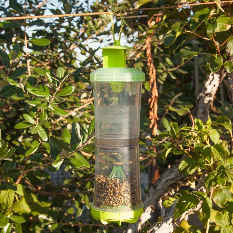 Reusable W-H-Y Trap with Attractant, Garden from Grow Organic