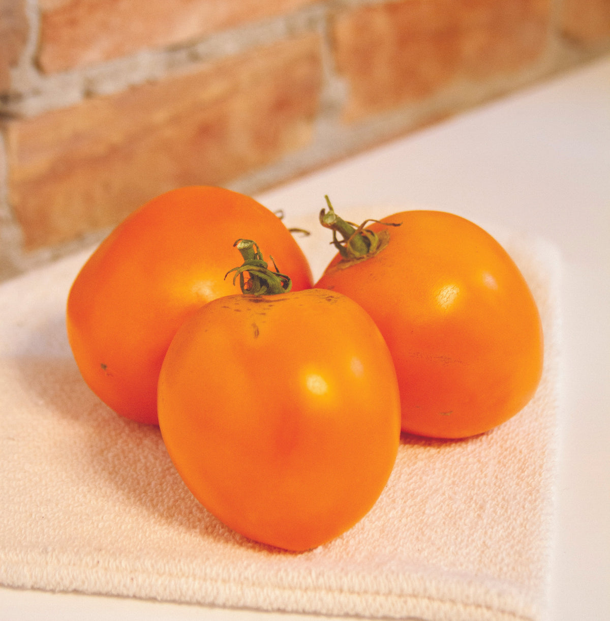 Valencia Tomato by MIgardener