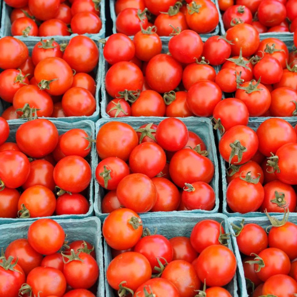 Bing Cherry Tomato by MIgardener