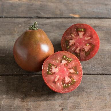 Japanese Black Trifele Tomato by MIgardener