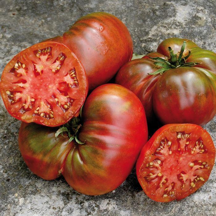 Black Sea Man Tomato by MIgardener
