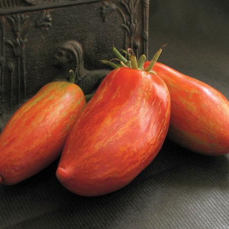 Striped Roma Tomato by MIgardener