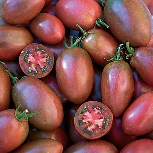 Ukrainian purple tomato by MIgardener