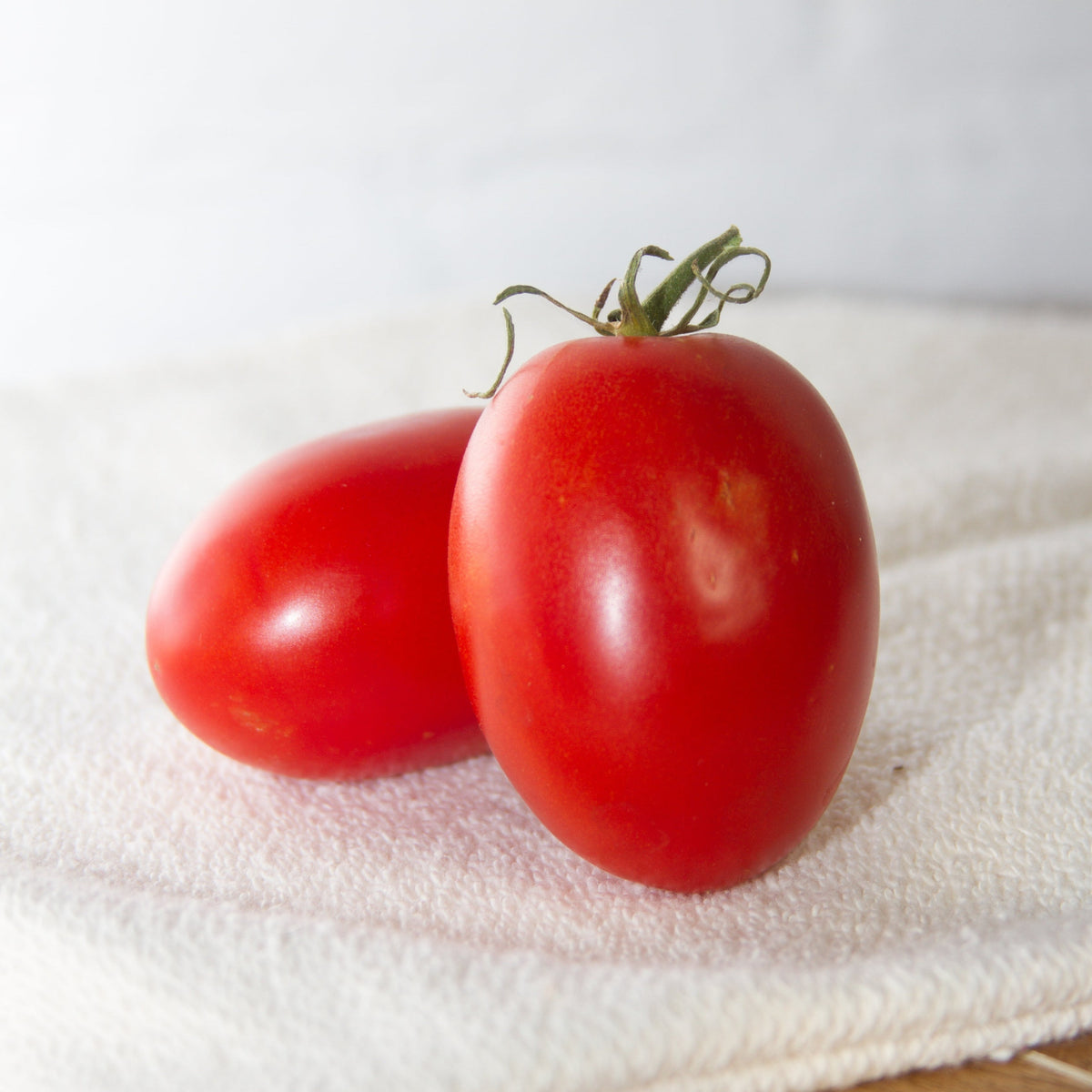 Quadro Tomato by MIgardener