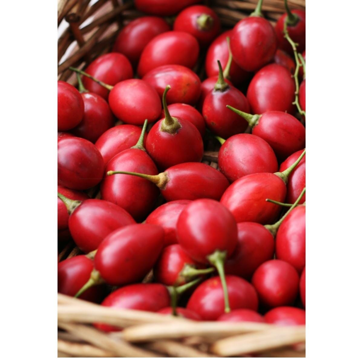 Tomate de Arbol | Tree Tomato | Tamarillo from Everglades Farm