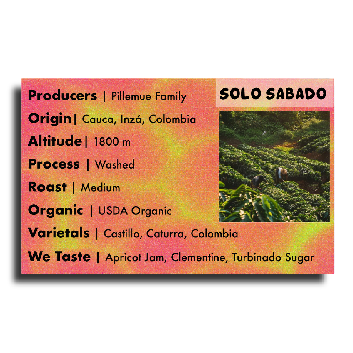 Solo Sabado, image 4 of 6