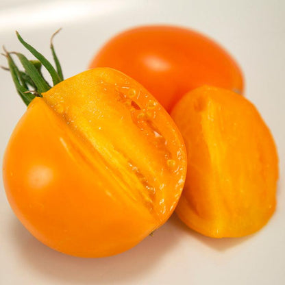 Valencia Tomato Seeds (Organic), Garden from Grow Organic