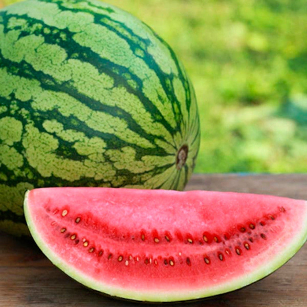 Crimson Sweet Watermelon Seeds by Papaws Garden Supply